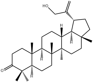 30-羟基羽扇-20(29)-烯-3-酮 结构式