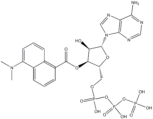 5-(dimethylamino-1-naphthoyl)adenosine triphosphate 结构式