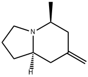 Indolizine, octahydro-5-methyl-7-methylene-, (5S,8aR)- (9CI) 结构式