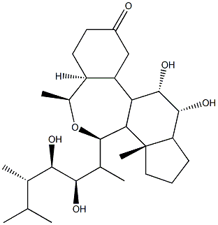ブラシノライド  化学構造式