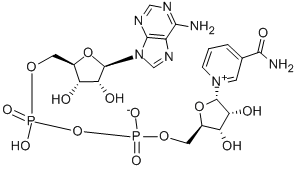 7298-93-3 Α-二磷酸啶核甙酸