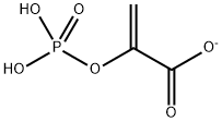 2-(ホスホノオキシ)プロペン酸アニオン 化学構造式