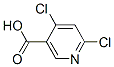 4,6-DichloronicotinicAcid 结构式