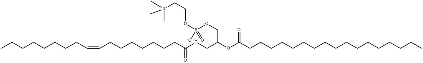 [O-(1-O-オレオイル-2-O-ステアロイル-L-グリセロ-3-ホスホ)コリン]アニオン 化学構造式