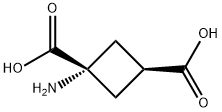 1-AMINOCYCLOBUTANE-CIS-1,3-DICARBOXYLIC ACID Structure