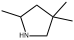 2,4,4-TRIMETHYL-PYRROLIDINE Structure