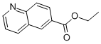 キノリン-6-カルボン酸エチルエステル 化学構造式