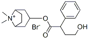 (8,8-dimethyl-8-azoniabicyclo[3.2.1]oct-3-yl) 4-hydroxy-2-phenyl-butan oate bromide|