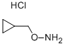 CYCLOPROPYL METHOXYLAMINE HYDROCHLORIDE Struktur