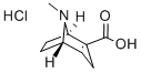 ANHYDROECGONINE HYDROCHLORIDE Structure