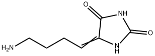 2,4-Imidazolidinedione,  5-(4-aminobutylidene)- Structure