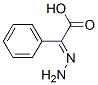 Benzeneacetic acid, alpha-hydrazono-, (E)- (9CI) Struktur