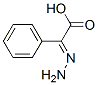 74470-04-5 Benzeneacetic acid, alpha-hydrazono-, (E)- (9CI)