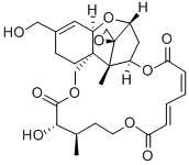 16-ヒドロキシベルカリンA 化学構造式
