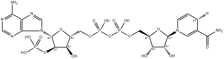 β-NADPH-D Structure