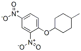 1-[(4-メチルシクロヘキシル)オキシ]-2,4-ジニトロベンゼン 化学構造式