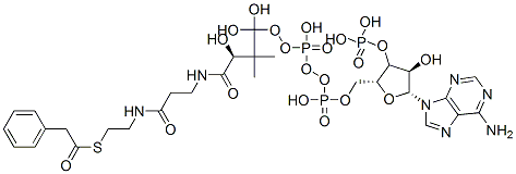 アデノシン3'-りん酸5'-[二りん酸P2-[2,2-ジメチル-3-ヒドロキシ-3-[[2-[[2-(フェニルアセチルチオ)エチル]アミノカルボニル]エチル]アミノカルボニル]プロピル]] 化学構造式