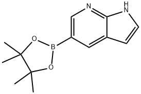 5-(4,4,5,5-テトラメチル-1,3,2-ジオキサボロラン-2-イル)-1H-ピロロ[2,3-B]ピリジン 化学構造式