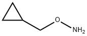 Cyclopropyl methoxylamine