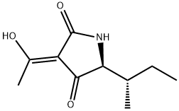 (3Z,5S)-3-(1-Hydroxyethylidene)-5-[(S)-1-methylpropyl]-2,4-pyrrolidinedione Structure