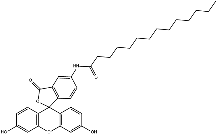 75796-37-1 5-(十四酰氨基)荧光素