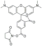 5(6)-CARBOXYTETRAMETHYLRHODAMINE N-SUCCINIMIDYL ESTER Struktur