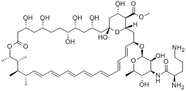 3-N'-(D-オルニチル)アンホテリシンBメチル 化学構造式