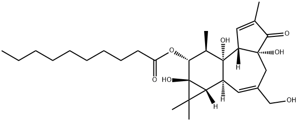 ホルボール12-デカノアート 化学構造式