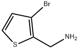 (3-溴噻吩-2-基)甲胺 结构式