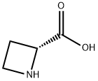 D-AZETIDINE-2-CARBOXYLIC ACID Structure