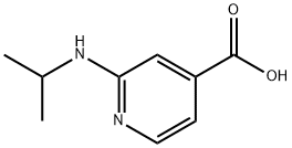 2-(Isopropylamino)isonicotinic acid|2-[(1-甲氧乙基)氨基]-4-羧酸吡啶