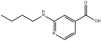2-(ブチルアミノ)イソニコチン酸 化学構造式