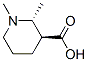 3-Piperidinecarboxylicacid,1,2-dimethyl-,trans-(9CI) Structure