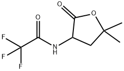 N-(5,5-DIMETHYL-2-OXOTETRAHYDRO-3-FURYL)-2,2,2-TRIFLUOROACETAMIDE Structure