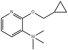 2-シクロプロピルメトキシ-3-トリメチルシラニル-ピリジン 化学構造式