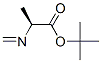 L-Alanine, N-methylene-, 1,1-dimethylethyl ester (9CI)|