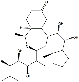 (22R,23R,24R)-2α,3α,22,23-テトラヒドロキシ-B-ホモ-7-オキサ-5α-エルゴスタン-6-オン 化学構造式