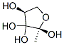 2,3,3,4(2H)-Furantetrol,dihydro-2-methyl-,(2R,4S)-(9CI) 结构式