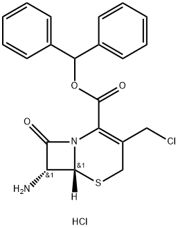 7-ACMA Structure