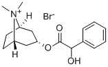 HOMATROPINE METHYL BROMIDE