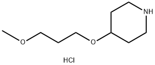 4-(3-甲氧基丙氧基)哌啶盐酸盐, 800402-19-1, 结构式