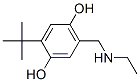Hydroquinone, 2-tert-butyl-5-[(ethylamino)methyl]- (8CI) 结构式