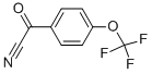 4-(TRIFLUOROMETHOXY)BENZOYL CYANIDE Struktur