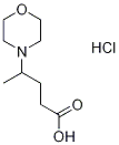 4-morpholin-4-ylpentanoic acid(SALTDATA: HCl)|4-吗啉-4-基戊酸盐酸盐