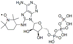 8-(2,2,6,6-tetramethylpiperidin-4-yl-1-oxyl)amino-adenosine triphosphate Struktur