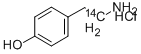 HYDROXYPHENYLETHYLAMINE HYDROCHLORIDE, [1-14C] 结构式