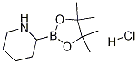 2-(4,4,5,5-四甲基-1,3,2-二氧杂环戊硼烷-2-基)哌啶盐酸盐 结构式