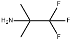 2,2,2-TRIFLUORO-1,1-DIMETHYL-ETHYLAMINE Struktur