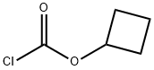 クロロギ酸シクロブチル 化学構造式