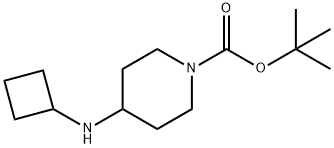1-BOC-4-CYCLOBUTYLAMINO-PIPERIDINE Struktur